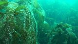 2011-06-15 16-58-55 UK_26